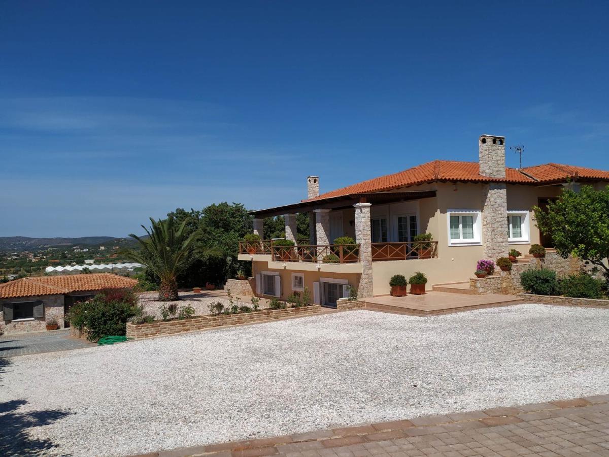 Villa Vena Palaiá Fókaia المظهر الخارجي الصورة