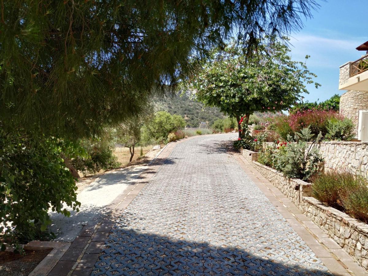 Villa Vena Palaiá Fókaia المظهر الخارجي الصورة