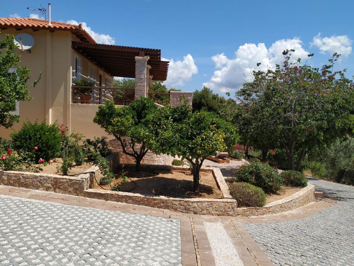 Villa Vena Palaiá Fókaia المظهر الخارجي الصورة