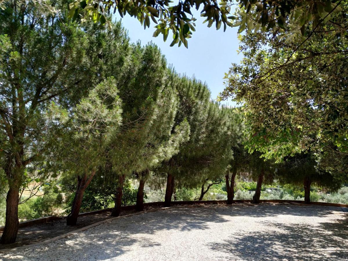 Villa Vena Palaiá Fókaia المظهر الخارجي الصورة